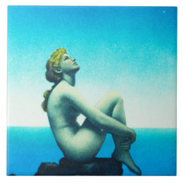 Stjärnor - stora keramiska belägger med tegel kakelplatta