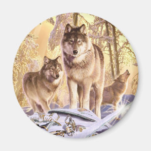 "Stjärnor under snö ", Magnet
