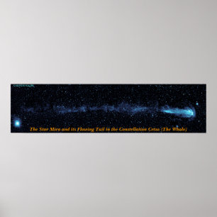 Stjärnorna med flytande Svan Poster