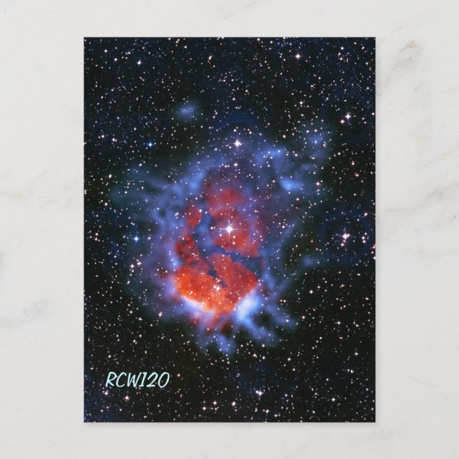 Stjärnornas plantskolor RCW120, Gum 58 Vykort (Framsida)