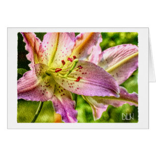 Stjärnskådare Lily Blomma/Floral Akvarell Konst/ OBS Kort
