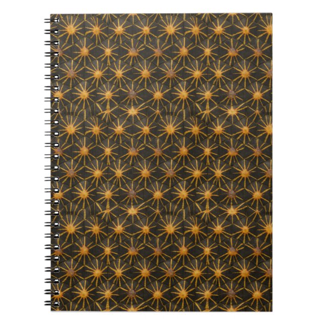 Stjärnsköld Radiata | Celestial Guld Geometric Anteckningsbok (Framsidan)