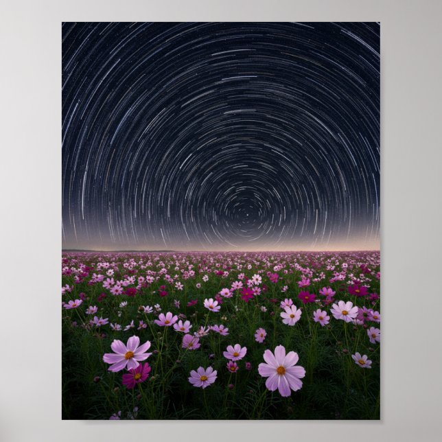 Stjärnspår Kosmos Blomsterfält Natthimmel Affisch (Framsidan)