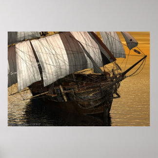 Stjärtbräda Poster