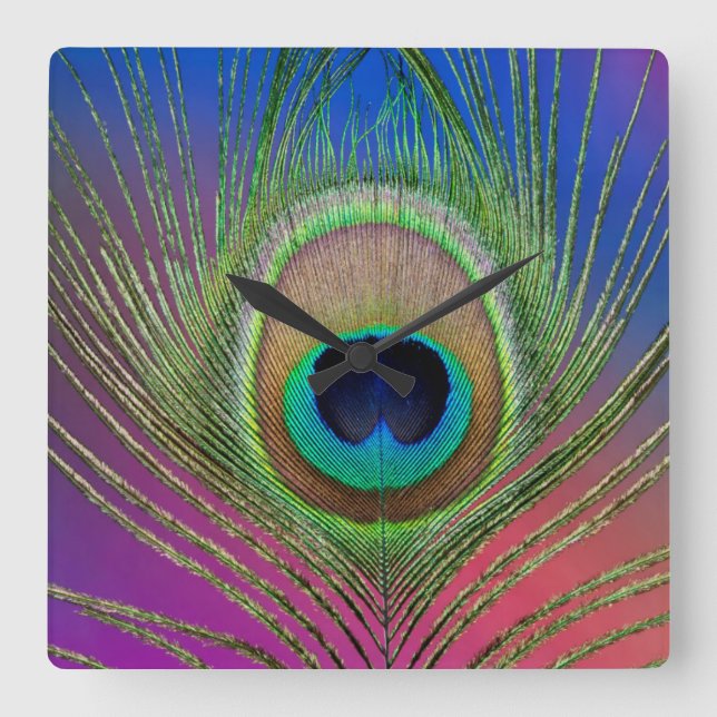 Stjärtfjäder på en påfågel fyrkantig klocka (Framsida)