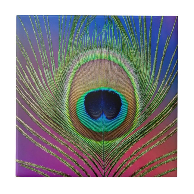 Stjärtfjäder på en påfågel kakelplatta (Framsidan)