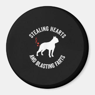 Stjärthjärdar och sprängschaktanläggningar Boston  Magnet