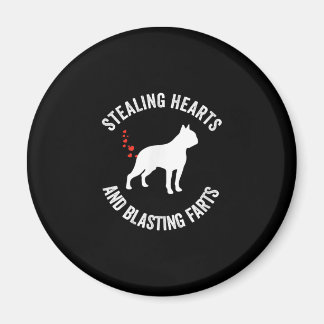 Stjärthjärdar och sprängschaktanläggningar Boston  Magnet