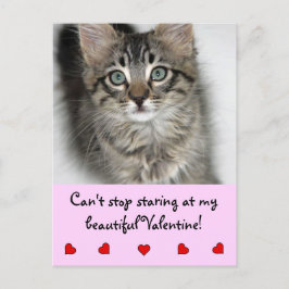 Stjärtligt Valentine Kitten Postcard Helg Vykort