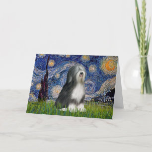 Stjärtnatt - Black & White Tibetan Terrier Kort