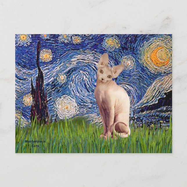 Stjärtnatt - Cream Sphynx Cat Vykort (Framsida)