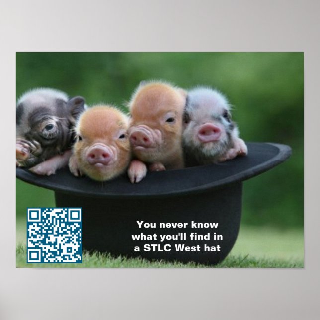 STLC Väster Hat Poster (Framsidan)