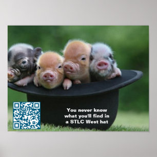 STLC West Hattaffisch Poster