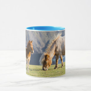 Sto med föl, Shetlandsöarna, Skottland Mugg