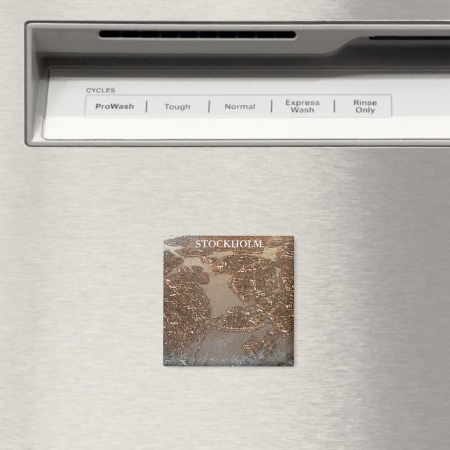 Stockholms Sverige City View Himmel Magnet (In Situ (Dishwasher))
