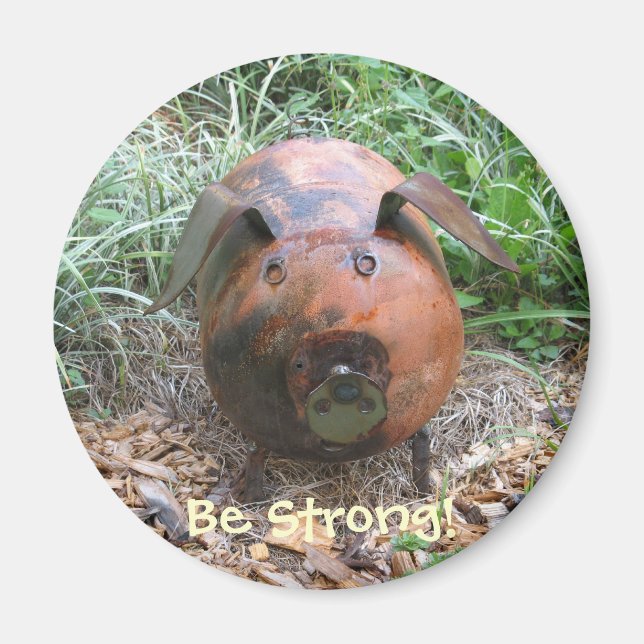 Stöd för konsumtion av vindrutor magnet (Framsidan)