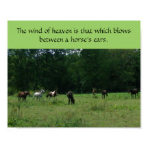 Stöd för Rädding av tävling Poster