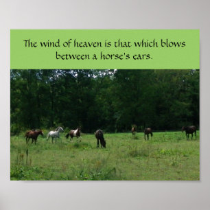 Stöd för Rädding av tävling Poster