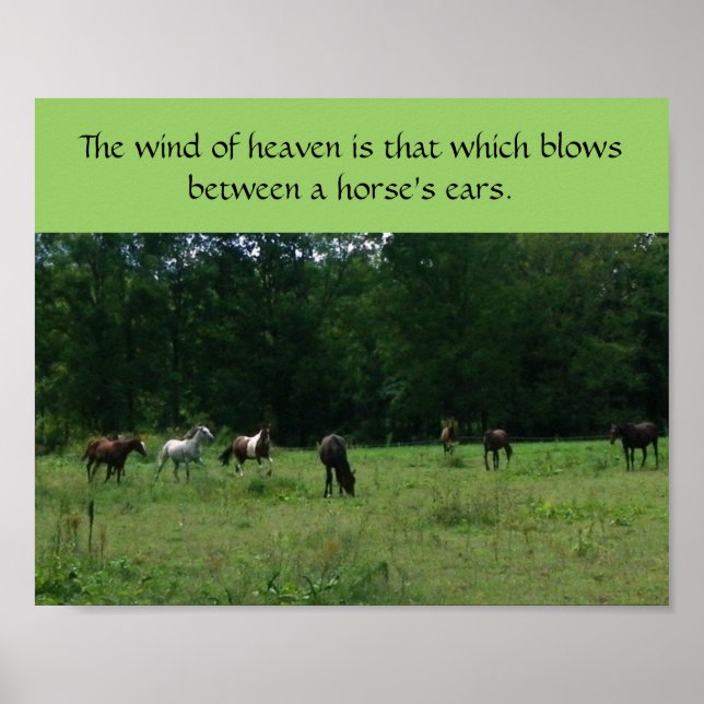 Stöd för Rädding av tävling Poster (Framsidan)