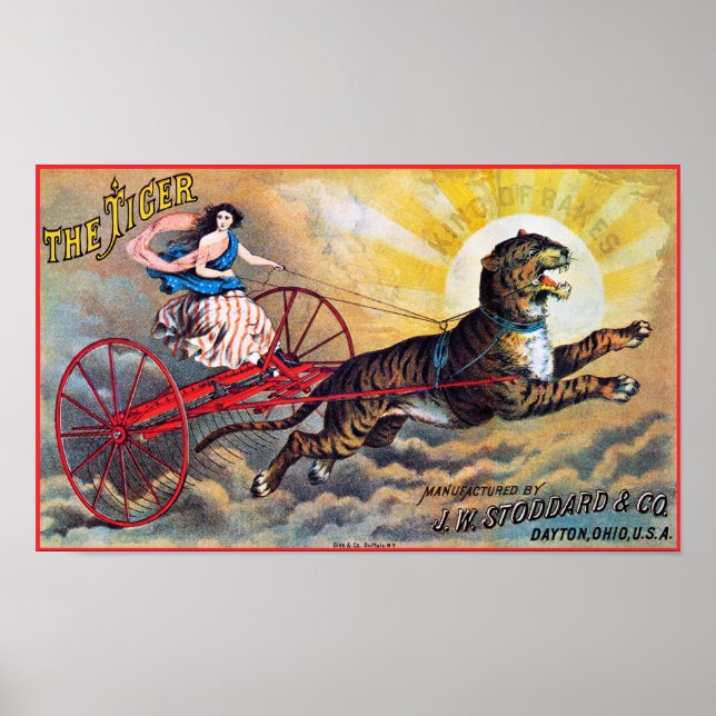Stoddard Tiger Poster (Framsidan)