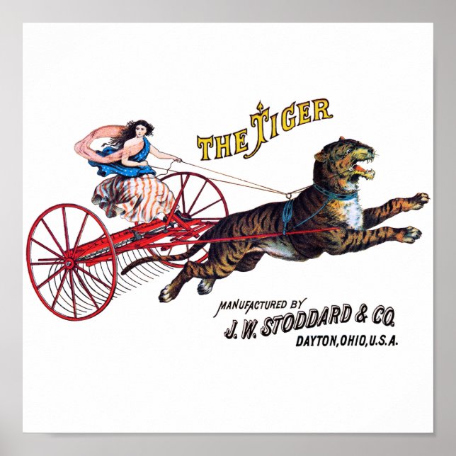 Stoddard Tiger Poster (Framsidan)