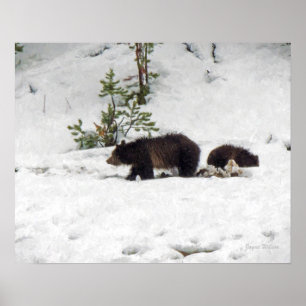 Stödraster i Snö Poster Skriv ut