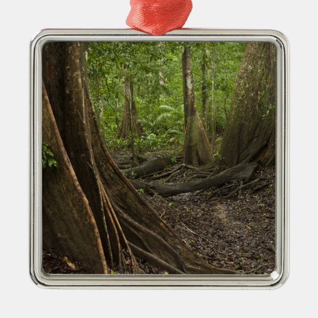 Stödrot. Regnskog, Mapari Rupununi, 2 Julgransprydnad Metall (Framsidan)
