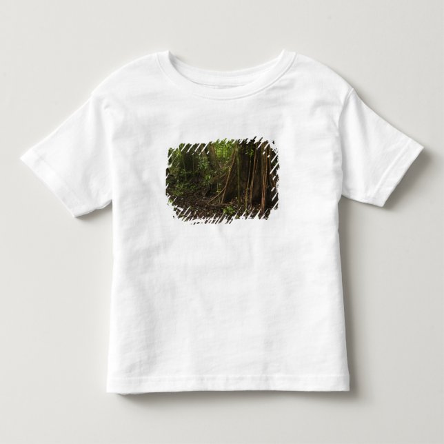 Stödrot. Regnskog, Mapari Rupununi, T-shirt (Framsida)