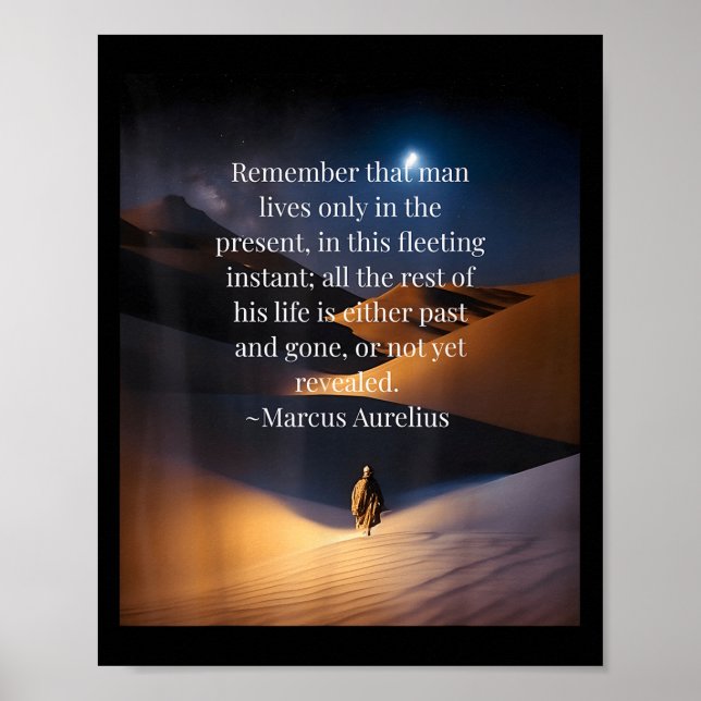 Stoic Meditations Quote Poster (Framsidan)