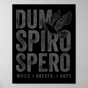 Stoic Philosophy Grått Translation Stoicism Dum Sp Poster