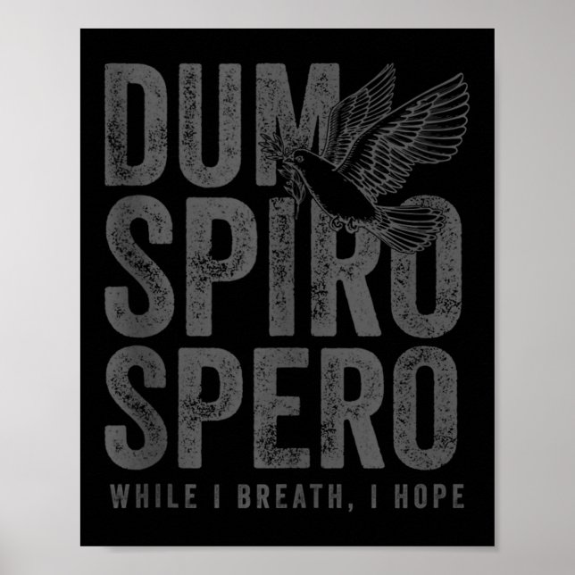 Stoic Philosophy Grått Translation Stoicism Dum Sp Poster (Framsidan)
