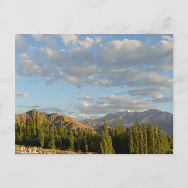 Stok range, Ladakh, Indien Vykort (Framsida)