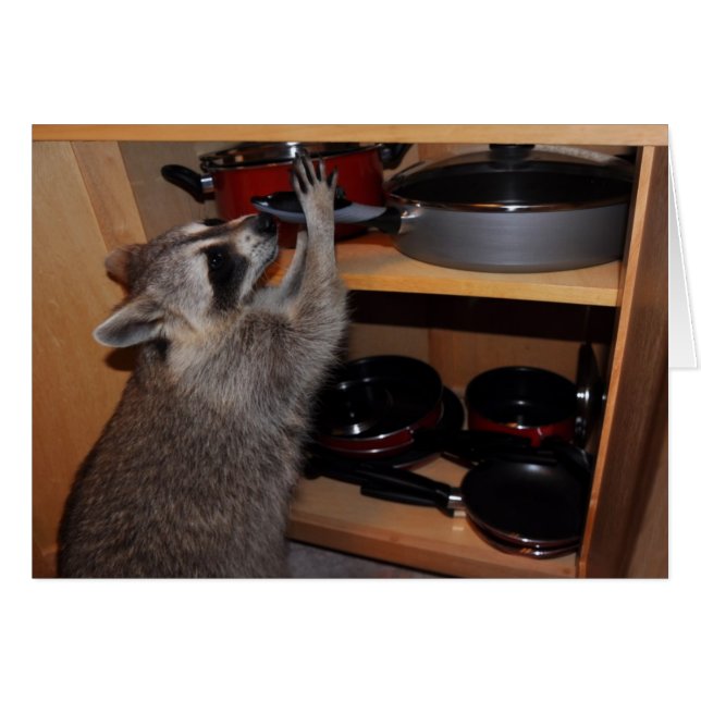 stolan panorerar kortet hälsningskort (Framsidan Horizontal)