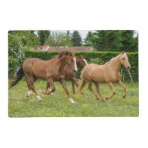 Stolar för hästar för bordställe matta