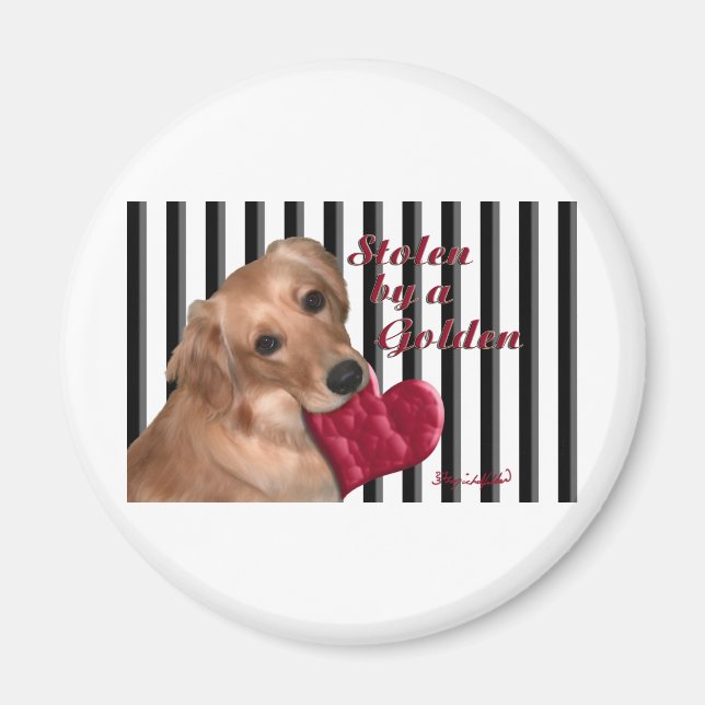 Stolen av en Golden Magnet (Framsidan)