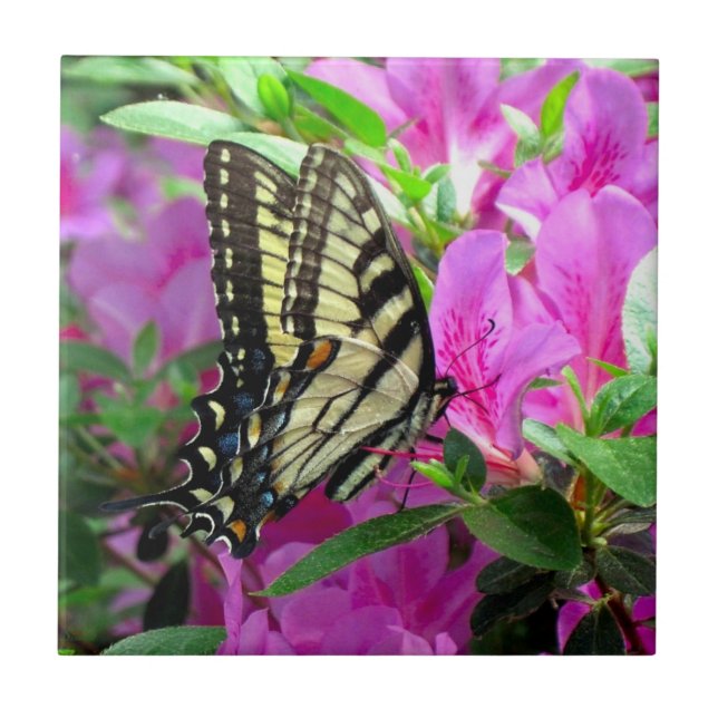 Stollig Art Tile Kakelplatta (Framsidan)