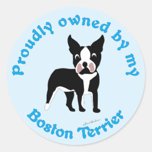 stolt ägare av en Boston Terrier Runt Klistermärke