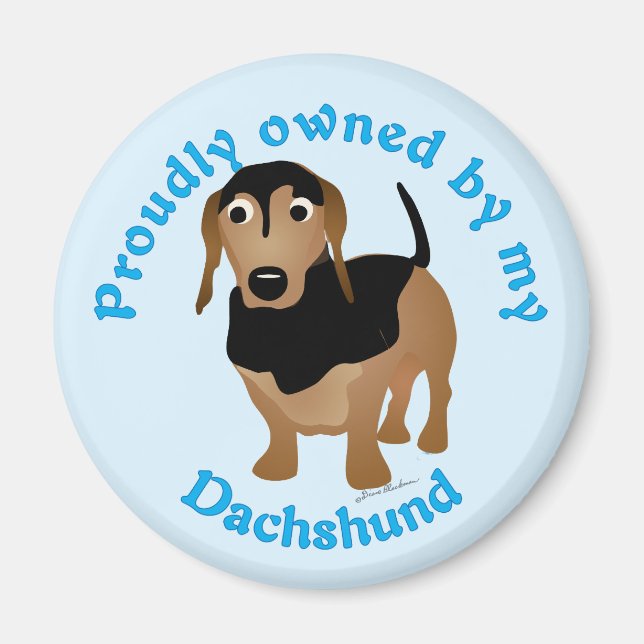 stolt ägare av min Dachshund Magnet (Framsidan)