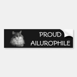Stolt Ailurophile (kattälskare) Maine Coon Bildekal