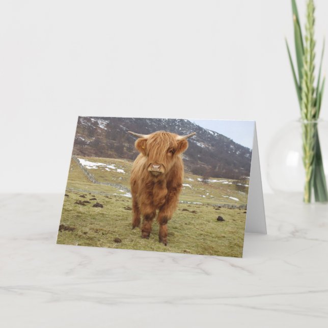 Stolt att vara skotskt! kort (Framsida)