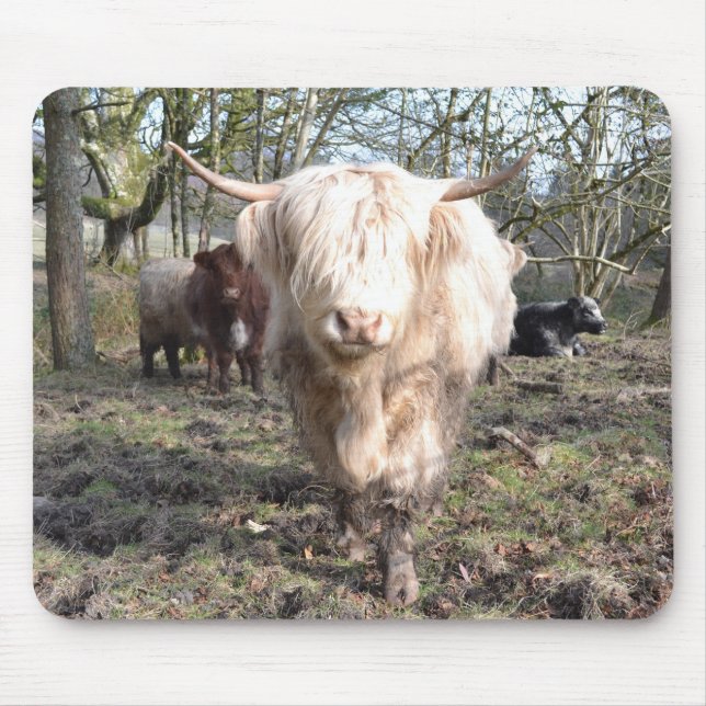 Stolt att vara skotskt musmatta (Framsidan)