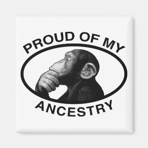 Stolt av min anorschimpans magnet