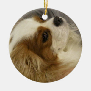 Stolt cockerspanielSpanielprydnad Julgransprydnad Keramik