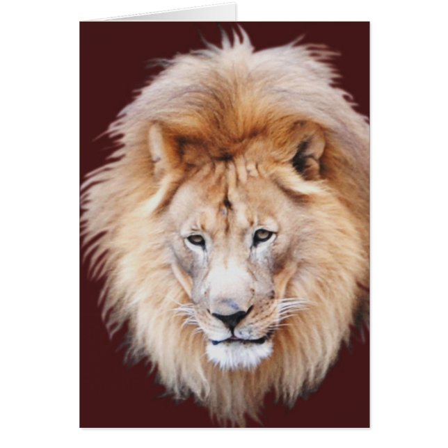 STOLT HÄLSNINGSKORT (Framsidan)