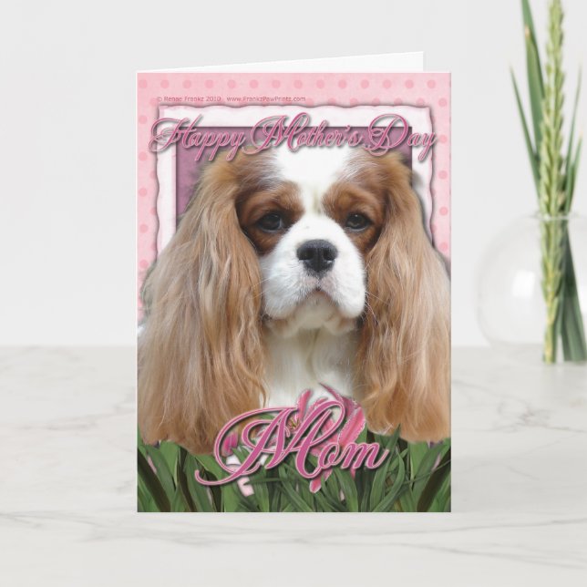 Stolt mors dag - rosa tulpan - - Blenheim Kort (Framsida)