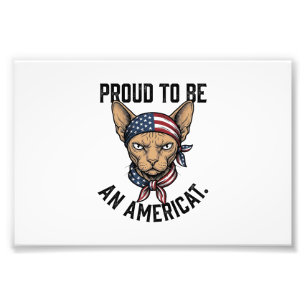 Stolt över att vara en amerikansk patriotisk kattt fototryck