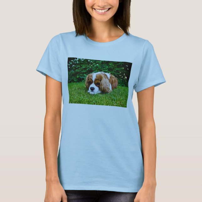 Stolt Spaniel Blenheim för kung Charles i gräs T-shirt (Framsida)