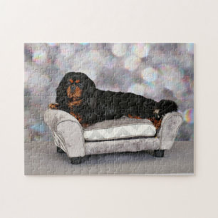 Stolt Spaniel för kung Charles - Cornelius Pussel