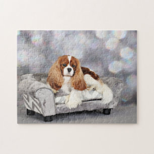 Stolt Spaniel för kung Charles - Ethan Pussel