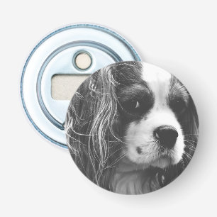 Stolt Spaniel för kung Charles Flasköppnare